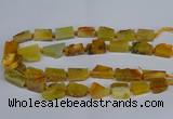 CNG2900 15.5 inches 12*16mm - 15*25mm freeform agate beads