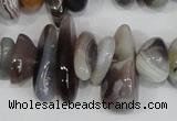 CNG316 15.5 inches 3*6mm - 5*22mm nuggets botswana agate beads