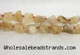 CNG3563 15.5 inches 18*20mm - 25*30mm nuggets rough citrine beads