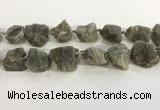 CNG3567 15.5 inches 18*20mm - 25*30mm nuggets rough labradorite beads