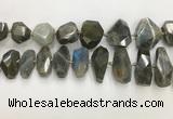 CNG3591 15*25mm - 25*35mm faceted nuggets labradorite beads