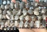 CNG3605 15.5 inches 13*20mm - 15*24mm faceted nuggets moonstone beads