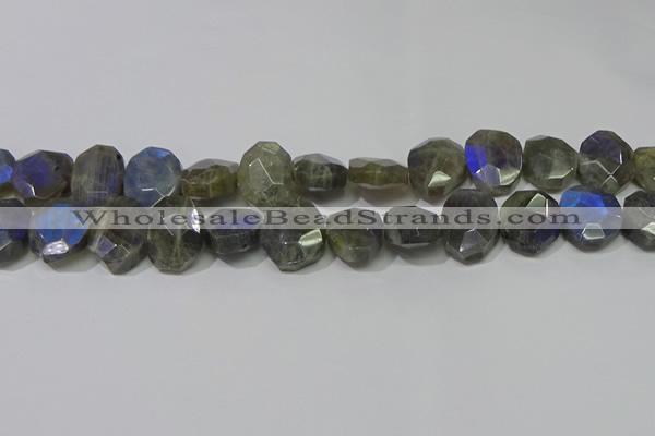 CNG5144 15.5 inches 15*18mm - 15*20mm faceted freeform labradorite beads