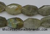 CNG5253 15.5 inches 13*18mm - 15*20mm faceted freeform labradorite beads