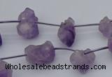 CNG5260 15.5 inches 5*8mm - 15*20mm nuggets amethyst beads