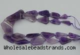 CNG5435 15*25mm - 30*45mm freeform amethyst gemstone beads