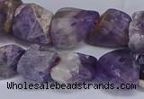 CNG5532 15.5 inches 10*14mm - 12*16mm nuggets dogtooth amethyst beads