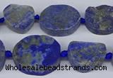 CNG5566 15.5 inches 12*16mm - 18*22mm freeform lapis lazuli beads