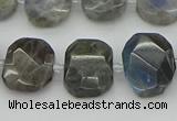 CNG5722 15.5 inches 12*16mm - 15*20mm faceted freeform labradorite beads