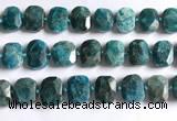 CNG5789 15.5 inches 13*18mm - 15*20mm faceted freeform apatite beads