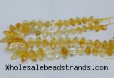 CNG5825 15.5 inches 8*18mm - 13*30mm freeform citrine beads