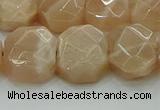 CNG5872 15.5 inches 8*12mm - 12*16mm faceted freeform moonstone beads