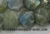 CNG5874 15.5 inches 8*12mm - 12*16mm faceted freeform labradorite beads