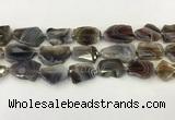 CNG6947 15.5 inches 18*20mm - 22*25mm freeform Botswana agate beads