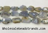 CNG6949 15.5 inches 22*30mm - 30*40mm freeform blue chalcedony beads