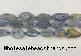 CNG6950 15.5 inches 18*20mm - 22*30mm freeform blue chalcedony beads