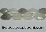 CNG7081 15.5 inches 25*35mm - 35*45mm faceted freeform agate beads