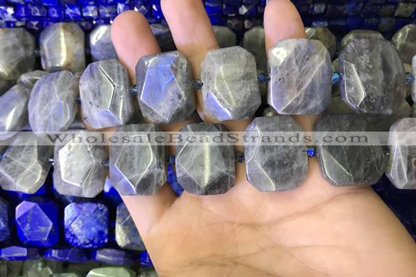 CNG7480 15.5 inches 18*25mm - 20*28mm faceted freeform labradorite beads