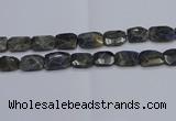 CNG7487 15.5 inches 18*25mm - 20*30mm faceted freeform labradorite beads