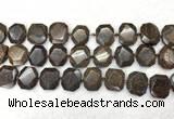 CNG7568 15.5 inches 18*25mm - 20*28mm faceted freeform bronzite beads