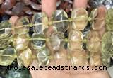 CNG7752 13*18mm - 15*25mm faceted freeform lemon quartz beads