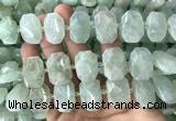 CNG7753 13*18mm - 15*25mm faceted freeform light prehnite beads