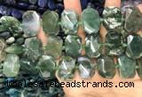 CNG7783 15.5 inches 13*18mm - 15*25mm faceted freeform moss agate beads