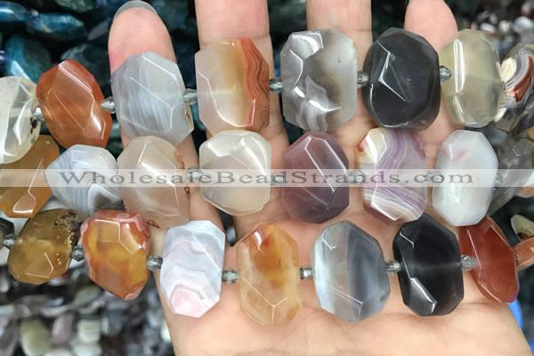 CNG7879 13*18mm - 15*25mm faceted freeform Botswana agate beads