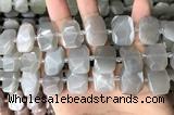 CNG7882 13*18mm - 15*25mm faceted freeform moonstone beads