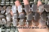 CNG7886 13*18mm - 15*25mm faceted freeform moonstone beads