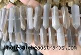 CNG7934 15.5 inches 10*22mm - 12*45mm faceted nuggets moonstone beads