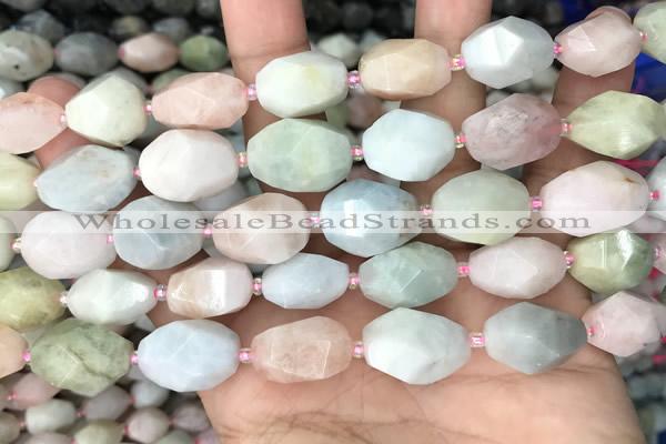 CNG8517 15.5 inches 13*17mm - 15*20mm faceted nuggets morganite beads