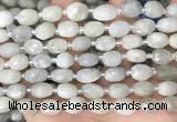 CNG8530 15.5 inches 8*9mm - 9*11mm faceted nuggets moonstone beads