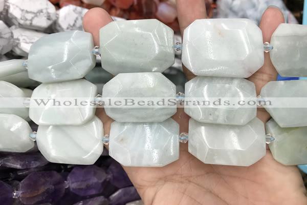 CNG8555 22*30mm - 25*35mm faceted freeform amazonite beads