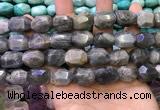 CNG8584 13*18mm - 15*20mm faceted nuggets labradorite beads