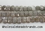 CNG8615 10*13mm - 12*16mm faceted freeform moonstone beads