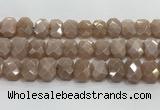 CNG8616 10*13mm - 12*16mm faceted freeform moonstone beads