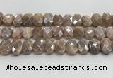 CNG8617 10*13mm - 12*16mm faceted freeform AB-color moonstone beads