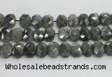 CNG8622 10*13mm - 12*16mm faceted freeform labradorite beads