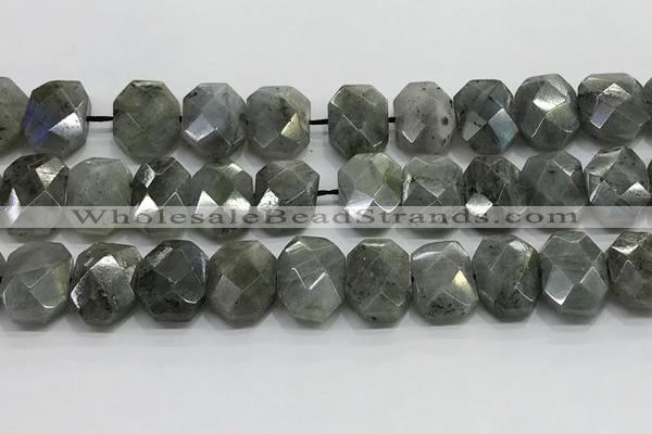 CNG8622 10*13mm - 12*16mm faceted freeform labradorite beads