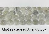 CNG8806 15.5 inches 16mm - 20mm faceted freeform moonstone beads