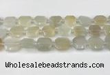 CNG8807 15.5 inches 16mm - 20mm faceted freeform moonstone beads