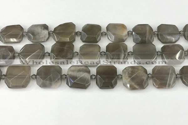 CNG8810 15.5 inches 16mm - 20mm faceted freeform moonstone beads