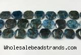 CNG8821 15.5 inches 16mm - 20mm faceted freeform apatite beads