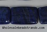 CNL537 15.5 inches 20*30mm rectangle natural lapis lazuli gemstone beads