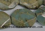 CNS263 15.5 inches 22*30mm octagonal natural serpentine jasper beads