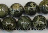 CNS506 15.5 inches 16mm round natural serpentine jasper beads