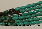 CNT117 15.5 inches 4*8mm rice natural turquoise beads wholesale