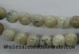 COP802 15.5 inches 8mm round natural African opal beads