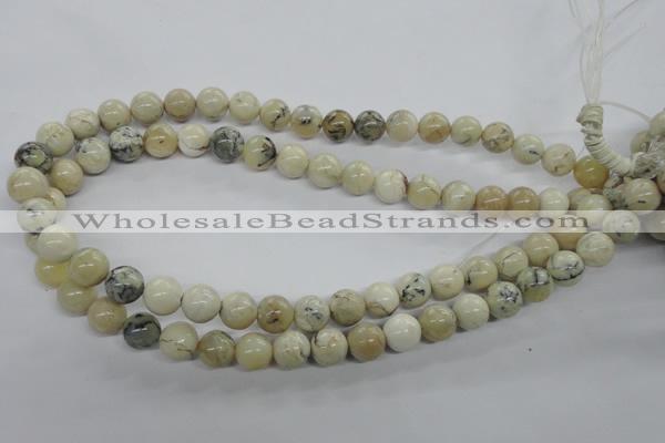 COP803 15.5 inches 10mm round natural African opal beads